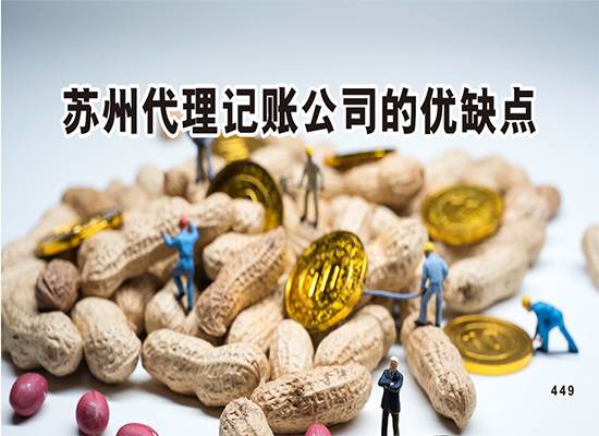 苏州代理记账公司的优缺点？